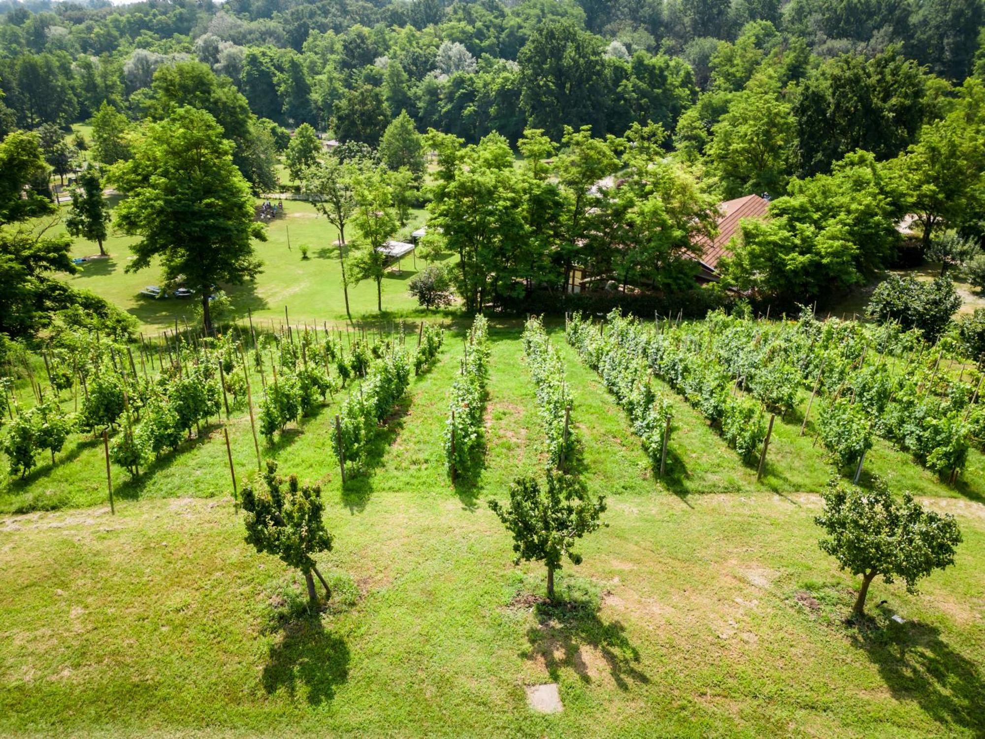 Agriturismo Parco Campofelice Lombardore Exterior photo