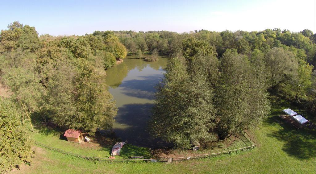 Agriturismo Parco Campofelice Lombardore Exterior photo